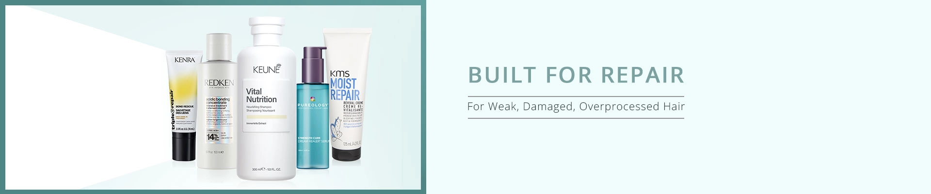 Built for Repair: Weak, Damaged, & Overprocessed Hair